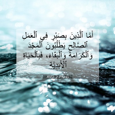 Picture 07 - رُومِيَةَ 2:7 AVD - أَمَّا ٱلَّذِينَ بِصَبْرٍ - Bible Verse Picture