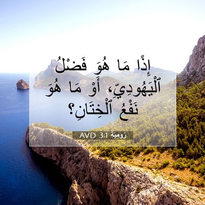 Picture 07 - رُومِيَةَ 3:1 AVD - إِذًا مَا هُوَ فَضْلُ - Bible Verse Picture