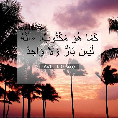 Picture 07 - رُومِيَةَ 3:10 AVD - كَمَا هُوَ مَكْتُوبٌ: - Bible Verse Picture