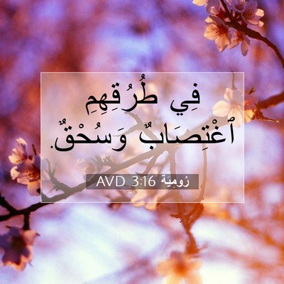 Picture 07 - رُومِيَةَ 3:16 AVD - فِي طُرُقِهِمِ ٱغْتِصَابٌ - Bible Verse Picture