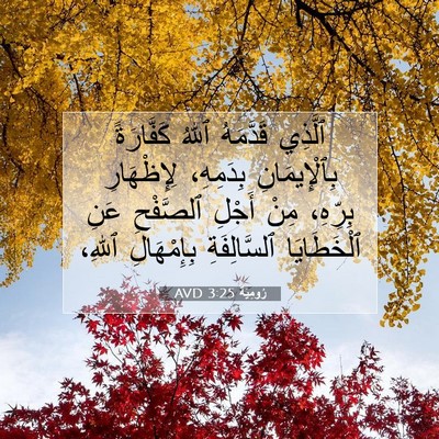 Picture 07 - رُومِيَةَ 3:25 AVD - ٱلَّذِي قَدَّمَهُ ٱللهُ - Bible Verse Picture