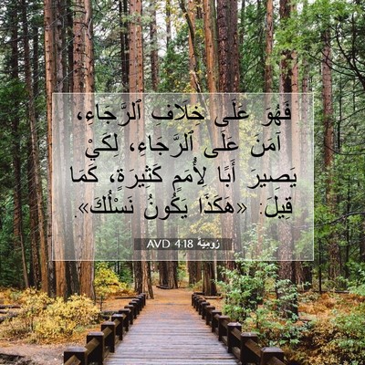 Picture 07 - رُومِيَةَ 4:18 AVD - فَهُوَ عَلَى خِلَافِ - Bible Verse Picture