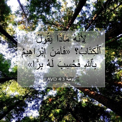 Picture 07 - رُومِيَةَ 4:3 AVD - لِأَنَّهُ مَاذَا يَقُولُ - Bible Verse Picture