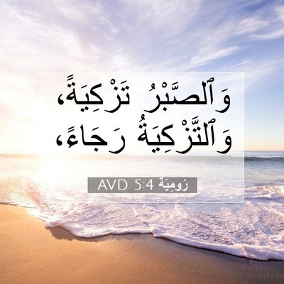 Picture 07 - رُومِيَةَ 5:4 AVD - وَٱلصَّبْرُ تَزْكِيَةً، - Bible Verse Picture