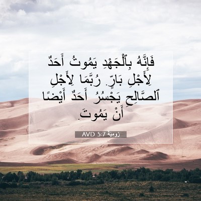 Picture 07 - رُومِيَةَ 5:7 AVD - فَإِنَّهُ بِٱلْجَهْدِ - Bible Verse Picture