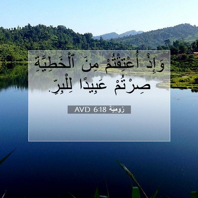 Picture 07 - رُومِيَةَ 6:18 AVD - وَإِذْ أُعْتِقْتُمْ مِنَ - Bible Verse Picture