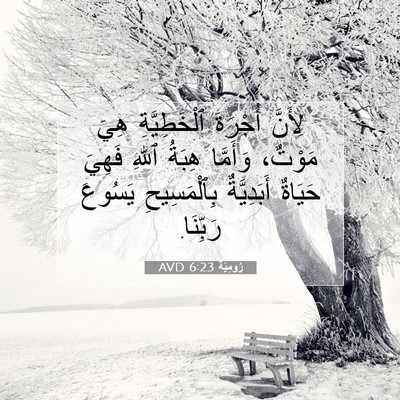 Picture 07 - رُومِيَةَ 6:23 AVD - لِأَنَّ أُجْرَةَ - Bible Verse Picture
