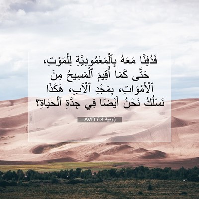 Picture 07 - رُومِيَةَ 6:4 AVD - فَدُفِنَّا مَعَهُ - Bible Verse Picture