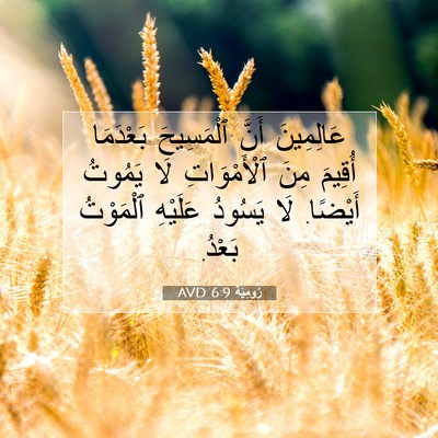 Picture 07 - رُومِيَةَ 6:9 AVD - عَالِمِينَ أَنَّ - Bible Verse Picture