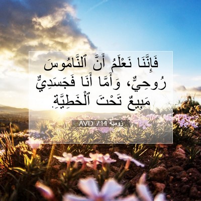 Picture 07 - رُومِيَةَ 7:14 AVD - فَإِنَّنَا نَعْلَمُ أَنَّ - Bible Verse Picture