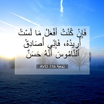 Picture 07 - رُومِيَةَ 7:16 AVD - فَإِنْ كُنْتُ أَفْعَلُ مَا - Bible Verse Picture