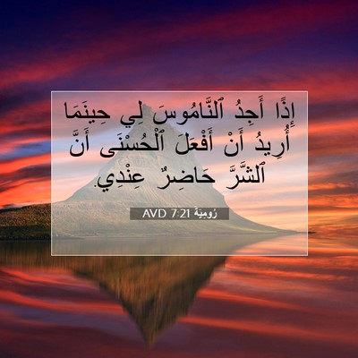 Picture 07 - رُومِيَةَ 7:21 AVD - إِذًا أَجِدُ ٱلنَّامُوسَ - Bible Verse Picture