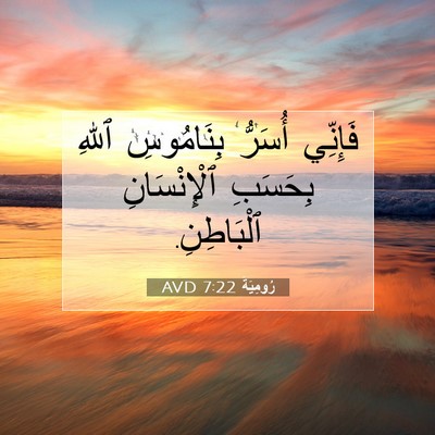 Picture 07 - رُومِيَةَ 7:22 AVD - فَإِنِّي أُسَرُّ - Bible Verse Picture