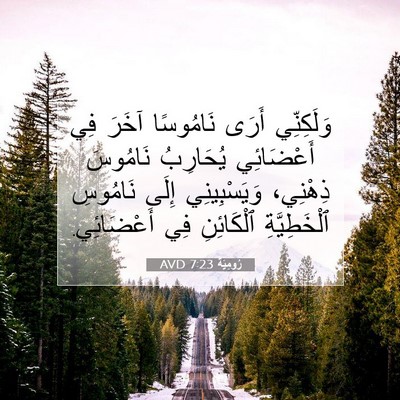 Picture 07 - رُومِيَةَ 7:23 AVD - وَلَكِنِّي أَرَى - Bible Verse Picture