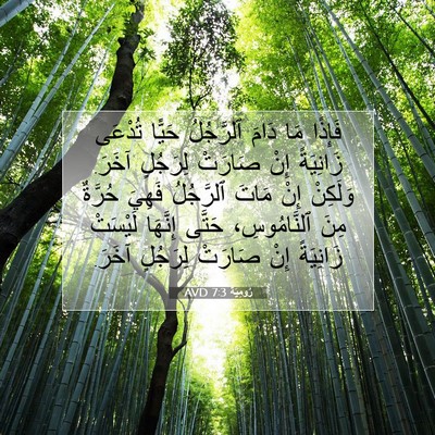 Picture 07 - رُومِيَةَ 7:3 AVD - فَإِذًا مَا دَامَ - Bible Verse Picture