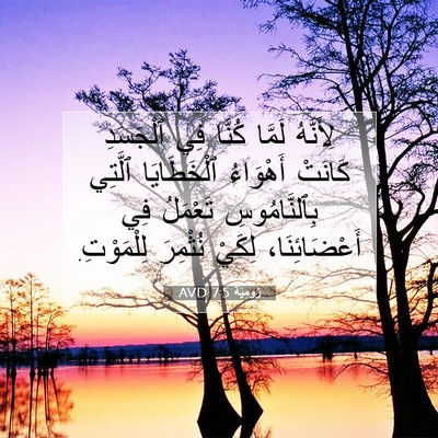 Picture 07 - رُومِيَةَ 7:5 AVD - لِأَنَّهُ لَمَّا كُنَّا - Bible Verse Picture