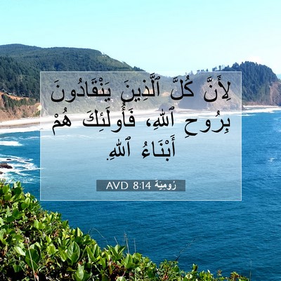 Picture 07 - رُومِيَةَ 8:14 AVD - لِأَنَّ كُلَّ ٱلَّذِينَ - Bible Verse Picture