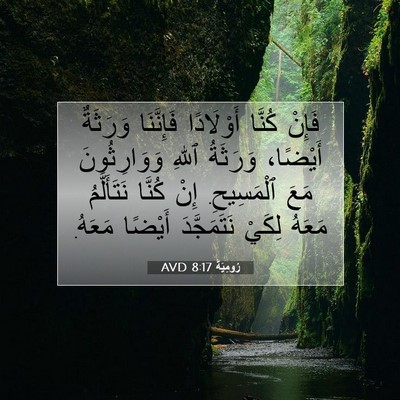Picture 07 - رُومِيَةَ 8:17 AVD - فَإِنْ كُنَّا أَوْلَادًا - Bible Verse Picture