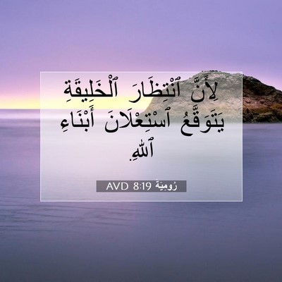 Picture 07 - رُومِيَةَ 8:19 AVD - لِأَنَّ ٱنْتِظَارَ - Bible Verse Picture