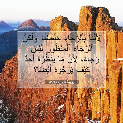 Picture 07 - رُومِيَةَ 8:24 AVD - لِأَنَّنَا بِٱلرَّجَاءِ - Bible Verse Picture