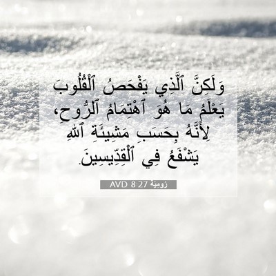 Picture 07 - رُومِيَةَ 8:27 AVD - وَلَكِنَّ ٱلَّذِي - Bible Verse Picture
