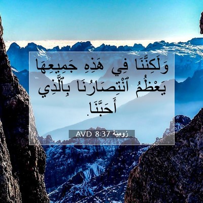 Picture 07 - رُومِيَةَ 8:37 AVD - وَلَكِنَّنَا فِي هَذِهِ - Bible Verse Picture