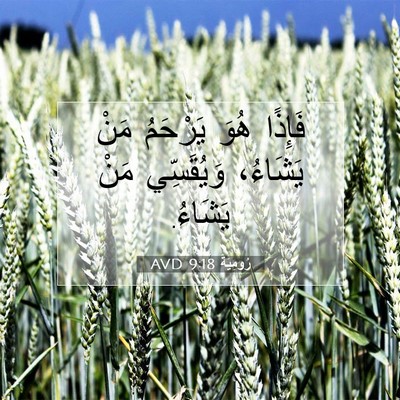 Picture 07 - رُومِيَةَ 9:18 AVD - فَإِذًا هُوَ يَرْحَمُ مَنْ - Bible Verse Picture