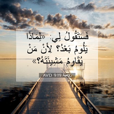 Picture 07 - رُومِيَةَ 9:19 AVD - فَسَتَقُولُ لِي: «لِمَاذَا - Bible Verse Picture