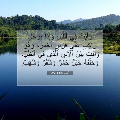 Picture 07 - زَكَريَّا 1:8 AVD - رَأَيْتُ فِي ٱللَّيْلِ - Bible Verse Picture