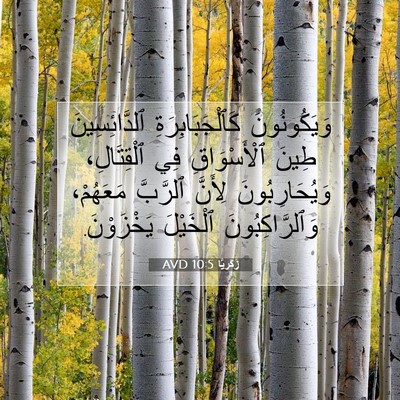 Picture 07 - زَكَريَّا 10:5 AVD - وَيَكُونُونَ - Bible Verse Picture