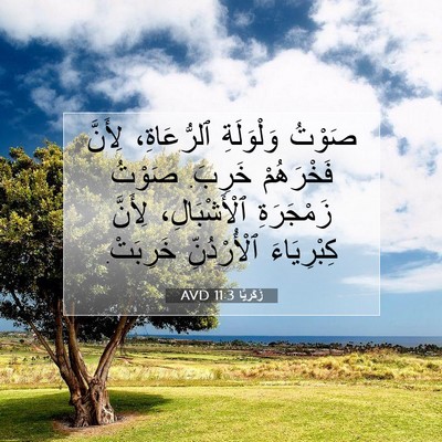 Picture 07 - زَكَريَّا 11:3 AVD - صَوْتُ وَلْوَلَةِ - Bible Verse Picture
