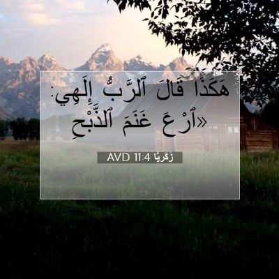Picture 07 - زَكَريَّا 11:4 AVD - هَكَذَا قَالَ ٱلرَّبُّ - Bible Verse Picture