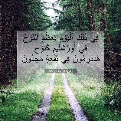 Picture 07 - زَكَريَّا 12:11 AVD - فِي ذَلِكَ ٱلْيَوْمِ - Bible Verse Picture