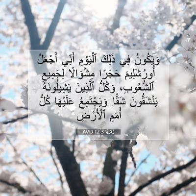 Picture 07 - زَكَريَّا 12:3 AVD - وَيَكُونُ فِي ذَلِكَ - Bible Verse Picture