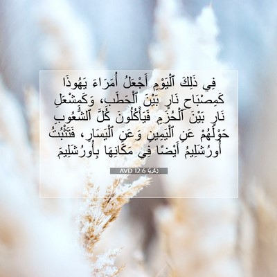 Picture 07 - زَكَريَّا 12:6 AVD - فِي ذَلِكَ ٱلْيَوْمِ - Bible Verse Picture