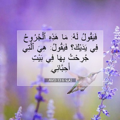 Picture 07 - زَكَريَّا 13:6 AVD - فَيَقُولُ لَهُ: مَا هَذِهِ - Bible Verse Picture