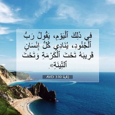 Picture 07 - زَكَريَّا 3:10 AVD - فِي ذَلِكَ ٱلْيَوْمِ، - Bible Verse Picture