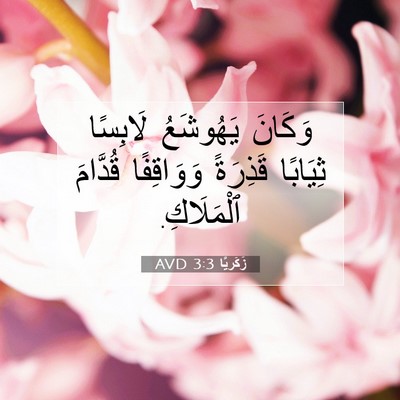 Picture 07 - زَكَريَّا 3:3 AVD - وَكَانَ يَهُوشَعُ - Bible Verse Picture
