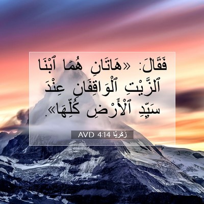 Picture 07 - زَكَريَّا 4:14 AVD - فَقَالَ: «هَاتَانِ هُمَا - Bible Verse Picture