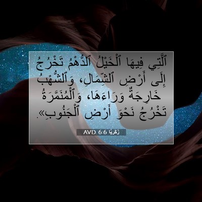 Picture 07 - زَكَريَّا 6:6 AVD - ٱلَّتِي فِيهَا ٱلْخَيْلُ - Bible Verse Picture