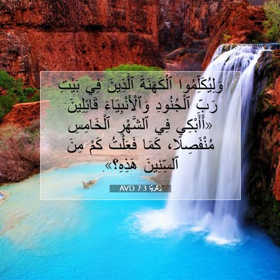 Picture 07 - زَكَريَّا 7:3 AVD - وَلِيُكَلِّمُوا - Bible Verse Picture