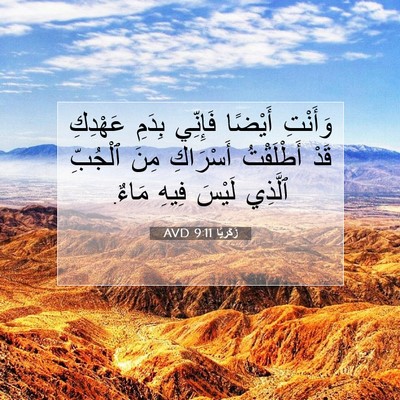 Picture 07 - زَكَريَّا 9:11 AVD - وَأَنْتِ أَيْضًا فَإِنِّي - Bible Verse Picture