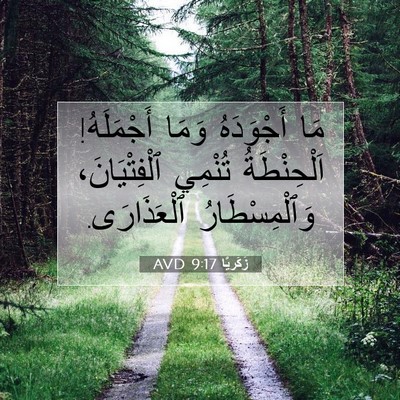 Picture 07 - زَكَريَّا 9:17 AVD - مَا أَجْوَدَهُ وَمَا - Bible Verse Picture
