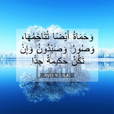 Picture 07 - زَكَريَّا 9:2 AVD - وَحَمَاةُ أَيْضًا - Bible Verse Picture