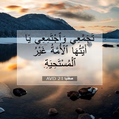 Picture 07 - صَفَنْيَا 2:1 AVD - تَجَمَّعِي وَٱجْتَمِعِي - Bible Verse Picture