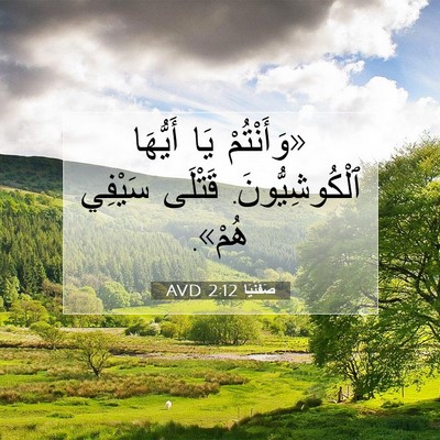 Picture 07 - صَفَنْيَا 2:12 AVD - «وَأَنْتُمْ يَا أَيُّهَا - Bible Verse Picture