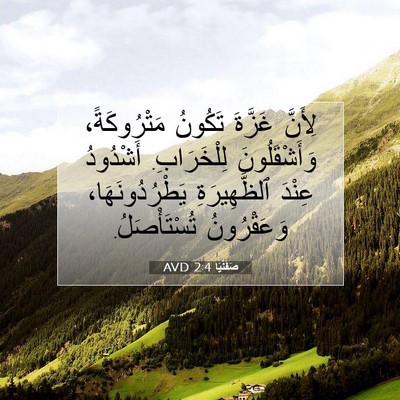 Picture 07 - صَفَنْيَا 2:4 AVD - لِأَنَّ غَزَّةَ تَكُونُ - Bible Verse Picture