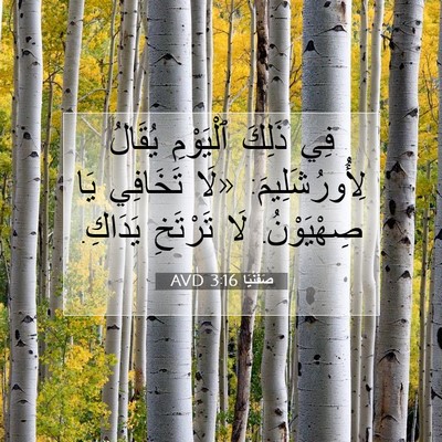Picture 07 - صَفَنْيَا 3:16 AVD - فِي ذَلِكَ ٱلْيَوْمِ - Bible Verse Picture