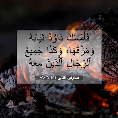 Picture 07 - صَمُوئِيلَ ٱلثَّانِي 1:11 AVD - فَأَمْسَكَ دَاوُدُ - Bible Verse Picture