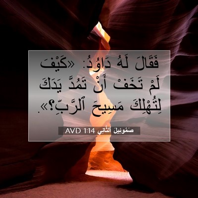 Picture 07 - صَمُوئِيلَ ٱلثَّانِي 1:14 AVD - فَقَالَ لَهُ دَاوُدُ: - Bible Verse Picture